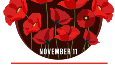 Why do we Celebrate Poppy Remembrance Day