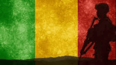 Armed Forces Day In Mali