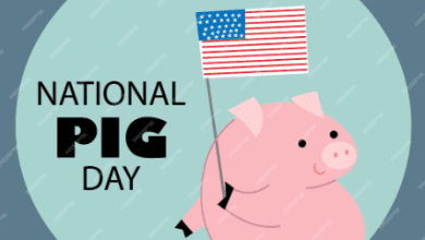 National Pig Day In United States