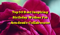 Top 50 Best Inspiring Birthday Wishes For Academic Collaborator