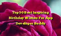 Top 50 Best Inspiring Birthday Wishes For App Developer Buddy