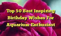 Top 50 Best Inspiring Birthday Wishes For Aquarium Enthusiast