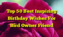 Top 50 Best Inspiring Birthday Wishes For Bird Owner Friend