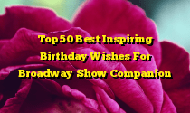 Top 50 Best Inspiring Birthday Wishes For Broadway Show Companion
