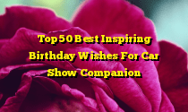 Top 50 Best Inspiring Birthday Wishes For Car Show Companion