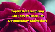 Top 50 Best Inspiring Birthday Wishes For Documentary Enthusiast