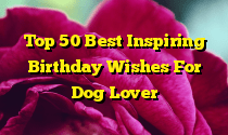 Top 50 Best Inspiring Birthday Wishes For Dog Lover