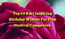 Top 50 Best Inspiring Birthday Wishes For Film Festival Companion