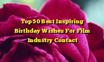 Top 50 Best Inspiring Birthday Wishes For Film Industry Contact