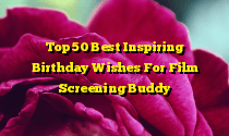Top 50 Best Inspiring Birthday Wishes For Film Screening Buddy