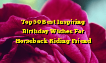 Top 50 Best Inspiring Birthday Wishes For Horseback Riding Friend