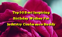 Top 50 Best Inspiring Birthday Wishes For Industry Conference Buddy