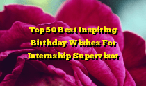 Top 50 Best Inspiring Birthday Wishes For Internship Supervisor