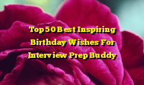 Top 50 Best Inspiring Birthday Wishes For Interview Prep Buddy