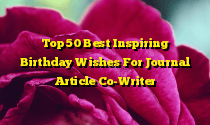 Top 50 Best Inspiring Birthday Wishes For Journal Article Co-Writer