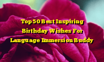 Top 50 Best Inspiring Birthday Wishes For Language Immersion Buddy