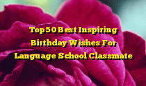 Top 50 Best Inspiring Birthday Wishes For Language School Classmate