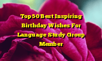Top 50 Best Inspiring Birthday Wishes For Language Study Group Member