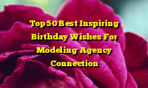 Top 50 Best Inspiring Birthday Wishes For Modeling Agency Connection
