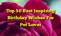 Top 50 Best Inspiring Birthday Wishes For Pet Lover