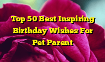 Top 50 Best Inspiring Birthday Wishes For Pet Parent