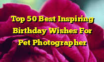 Top 50 Best Inspiring Birthday Wishes For Pet Photographer