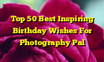 Top 50 Best Inspiring Birthday Wishes For Photography Pal