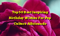 Top 50 Best Inspiring Birthday Wishes For Pop Culture Aficionado