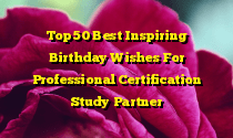 Top 50 Best Inspiring Birthday Wishes For Professional Certification Study Partner