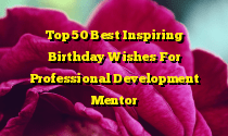 Top 50 Best Inspiring Birthday Wishes For Professional Development Mentor