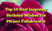 Top 50 Best Inspiring Birthday Wishes For Project Collaborator
