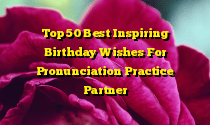 Top 50 Best Inspiring Birthday Wishes For Pronunciation Practice Partner