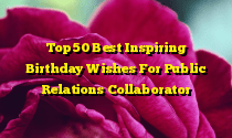 Top 50 Best Inspiring Birthday Wishes For Public Relations Collaborator