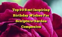 Top 50 Best Inspiring Birthday Wishes For Sculpture Garden Companion