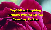 Top 50 Best Inspiring Birthday Wishes For Tea Ceremony Partner
