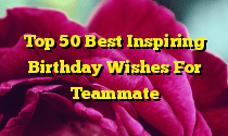 Top 50 Best Inspiring Birthday Wishes For Teammate
