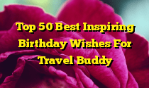 Top 50 Best Inspiring Birthday Wishes For Travel Buddy