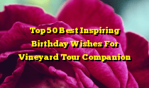 Top 50 Best Inspiring Birthday Wishes For Vineyard Tour Companion