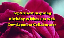 Top 50 Best Inspiring Birthday Wishes For Web Development Collaborator