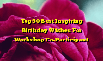Top 50 Best Inspiring Birthday Wishes For Workshop Co-Participant