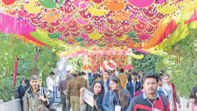 jaipur literature festival a literary extravaganza in the pink city