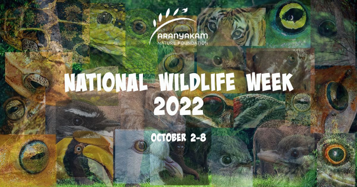 National Wildlife Week Celebrating India's Diverse Wildlife