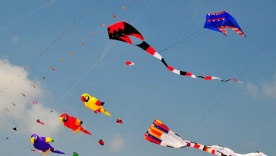 uttarayan kite festival a vibrant celebration of culture and tradition